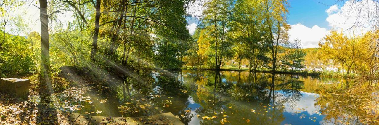 Ferienwohnung Saalhausen Sauerland Lennestadt Exteriör bild